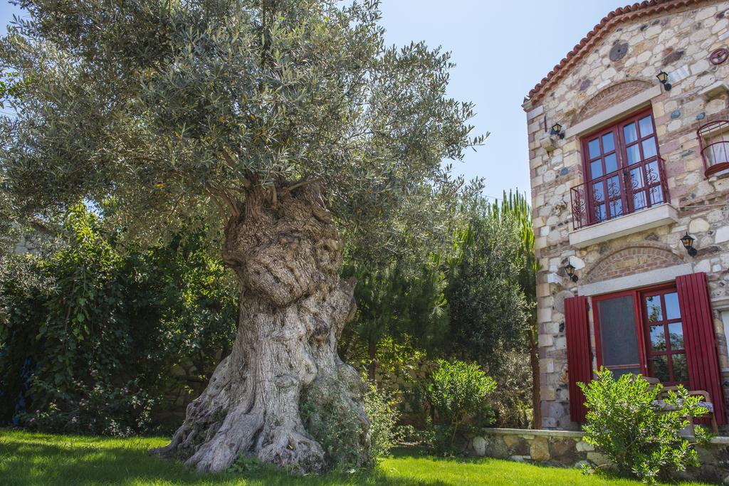 Alacati Zeytin Konak Hotel Exterior photo